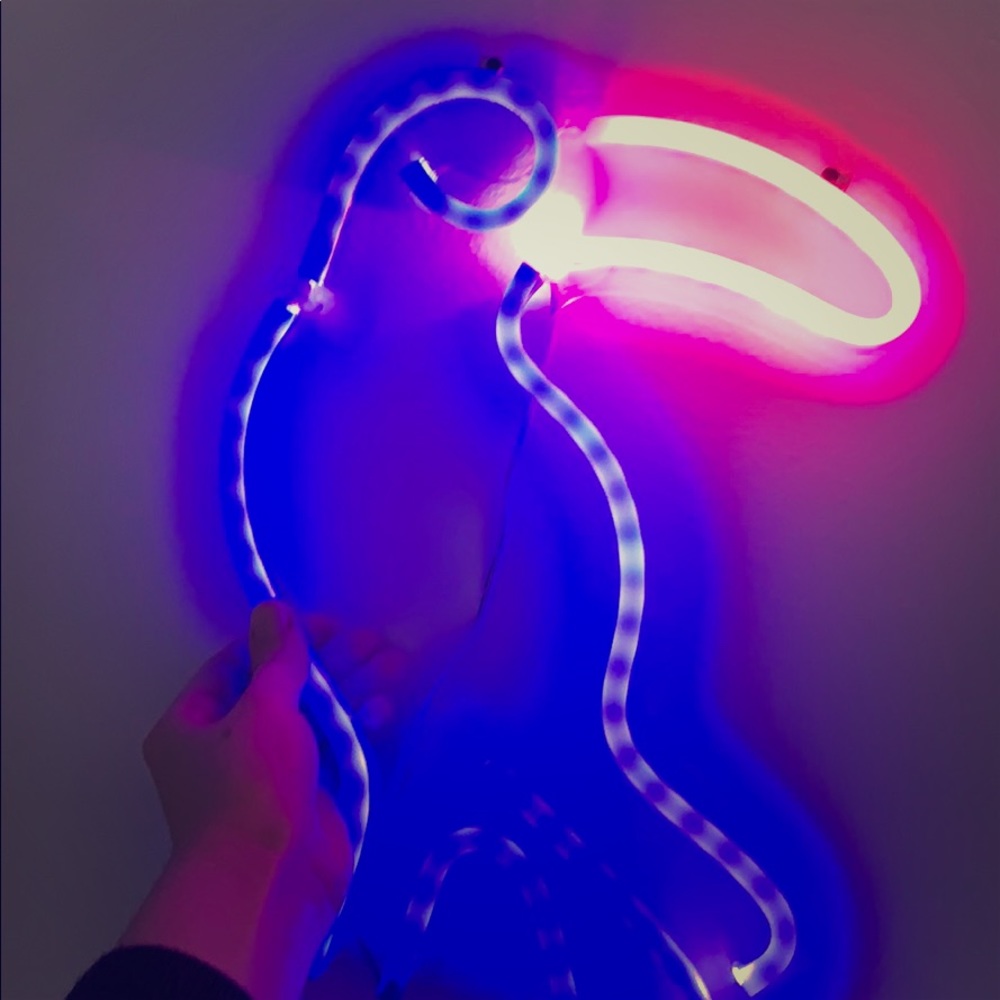 Neon Toucan Sign
